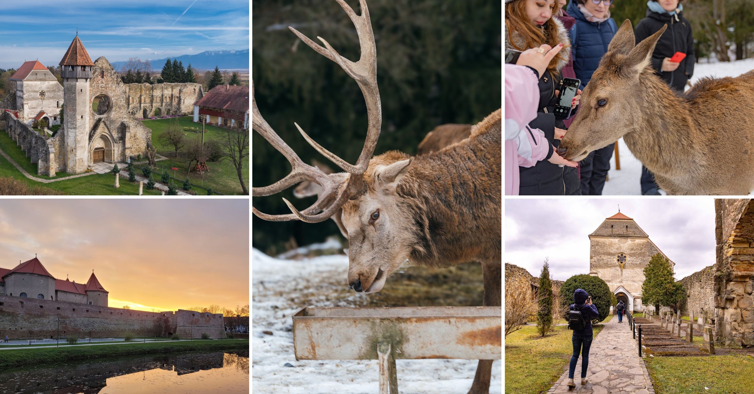 Excursie la Ferma de Cerbi, Cetatea Fagaras si Abatia Carta