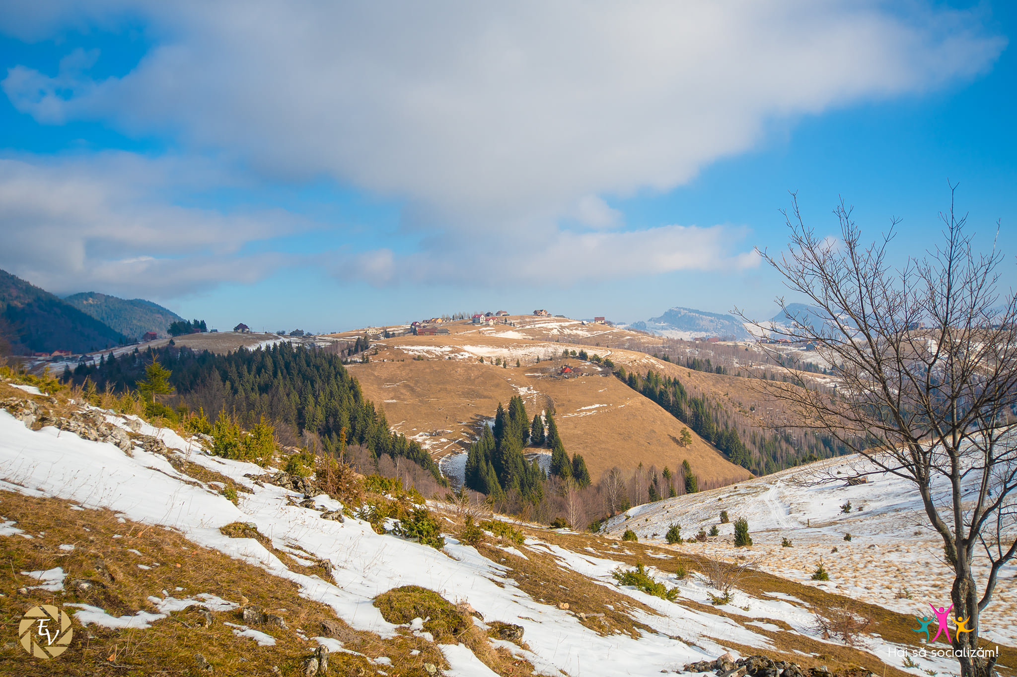 În căutare de flori de primăvară până la Cabana Curmătura