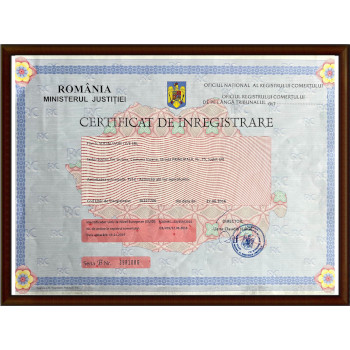 Certificat de inregistrare Socializare Live SRL