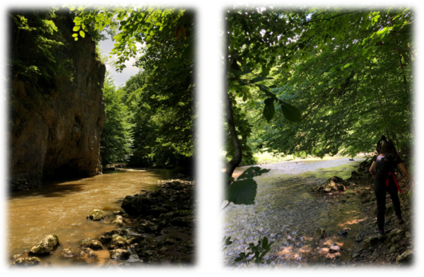 Imagini de pe traseu